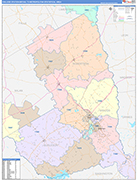 College Station-Bryan Metro Area Wall Map Color Cast Style
